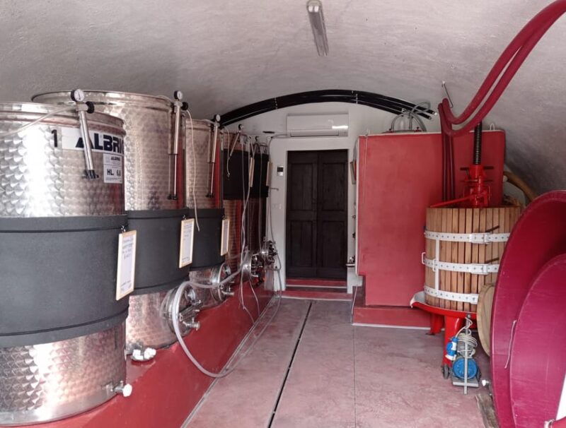 pozzolengo-vineyard-tour-and-tasting-of-typical-garda-wines