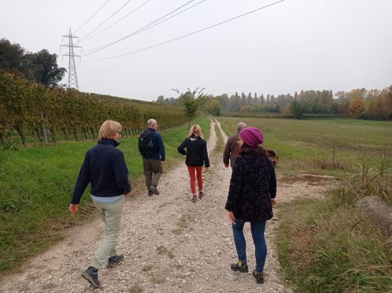 pozzolengo-vineyard-tour-and-tasting-of-typical-garda-wines