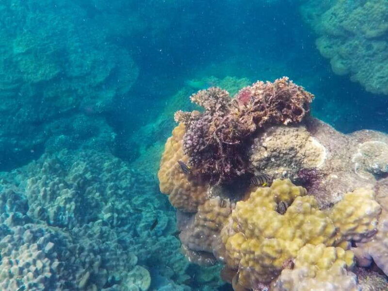 pq-speedboat-tour-to-3-islands-in-the-south-cano-trip