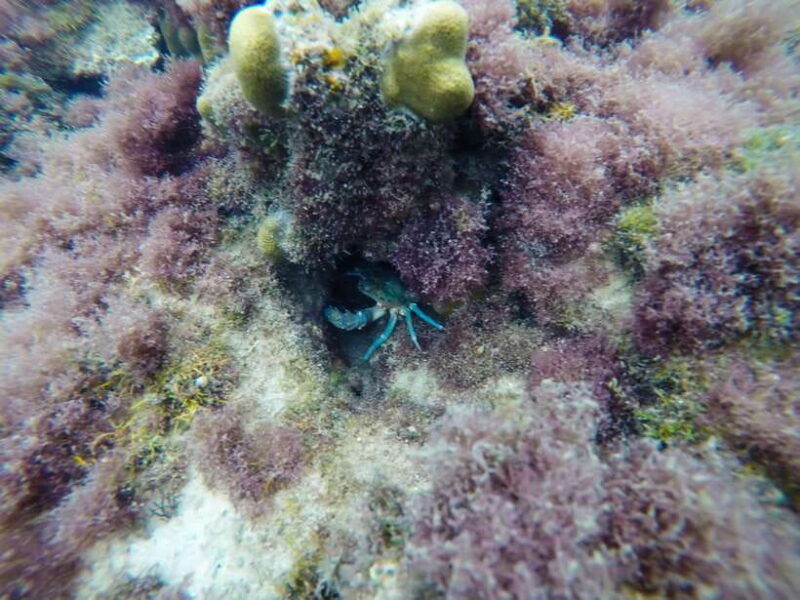 pq-speedboat-tour-to-3-islands-in-the-south-cano-trip