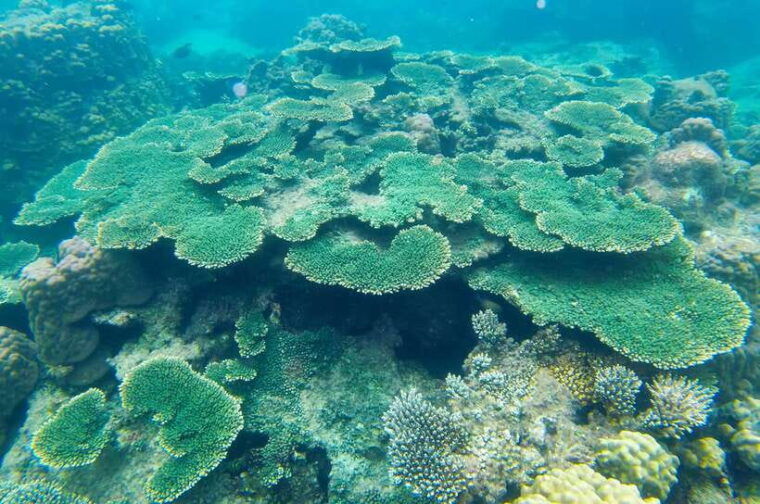 pq-speedboat-tour-to-3-islands-in-the-south-cano-trip