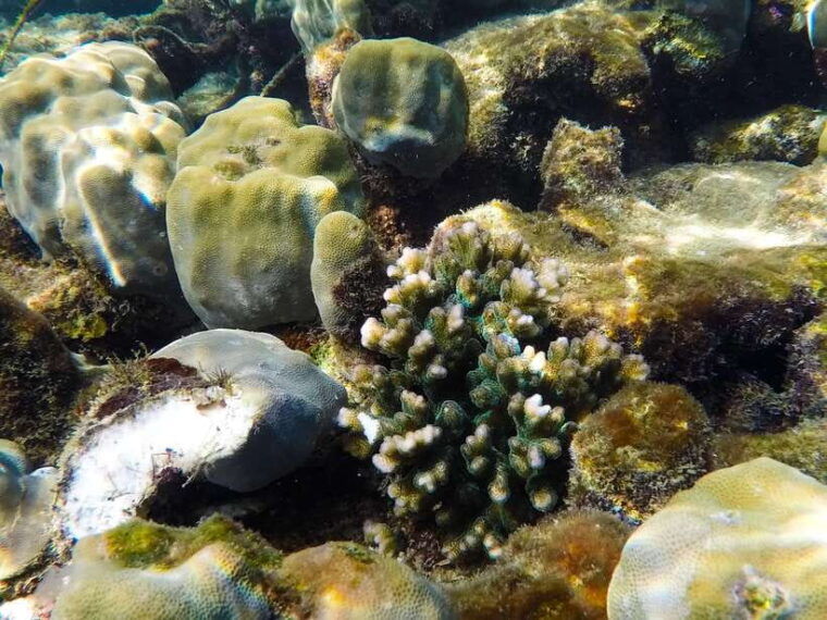 pq-speedboat-tour-to-3-islands-in-the-south-cano-trip