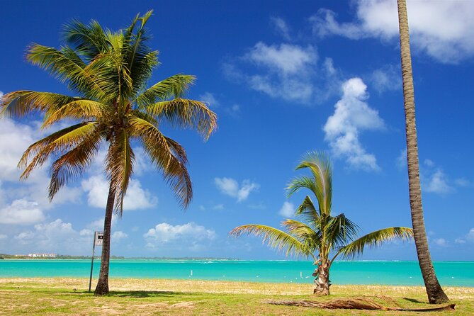 pr-chinchorreo-beach-and-bar-hopping-tour