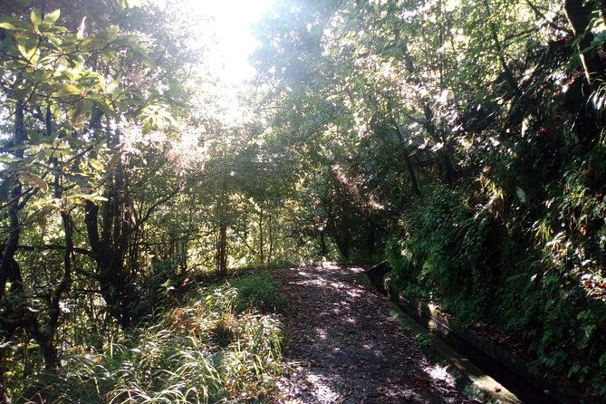 pr18-levada-do-rei-private-transfer