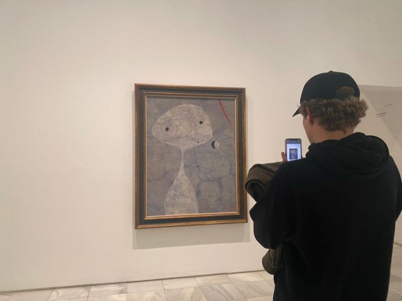 prado-museum-guided-tour-optional-reina-sofia-museum