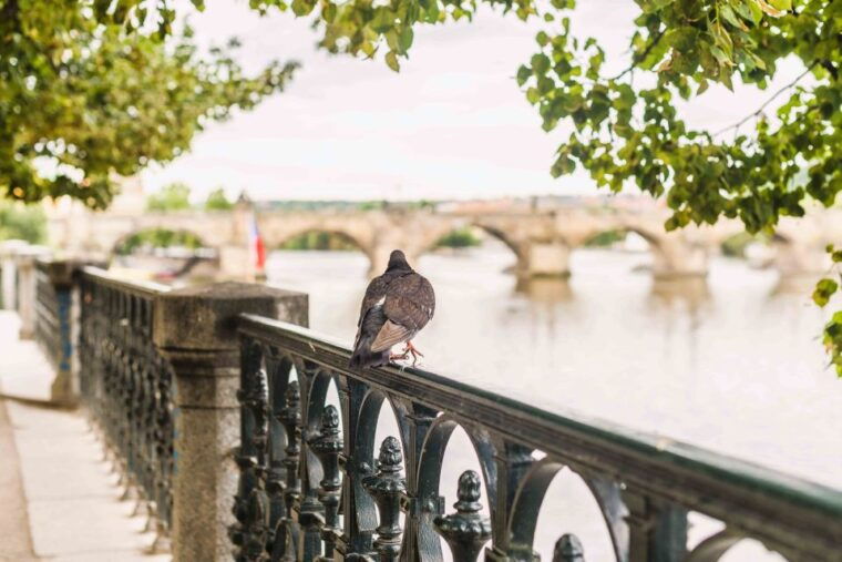 prague-beer-tour-audio-guide-with-ticket-to-exhibition