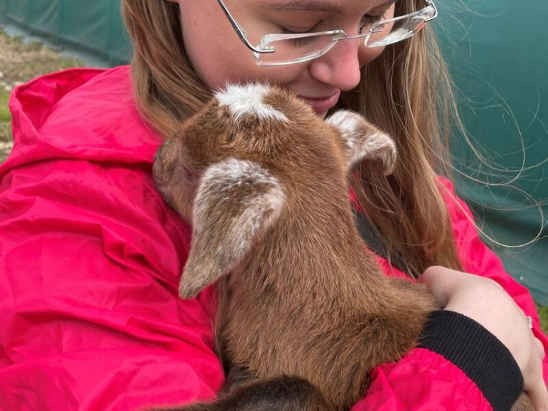 prague-bohemian-uplands-garnet-panninganimal-farm-4wd-tour