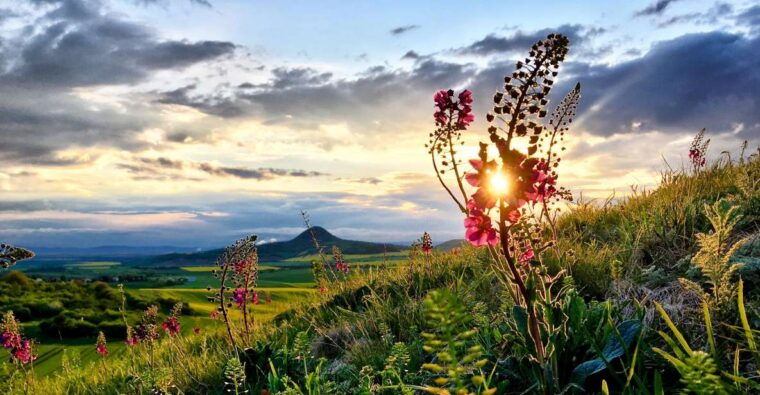 prague-bohemian-uplands-garnet-panninganimal-farm-4wd-tour