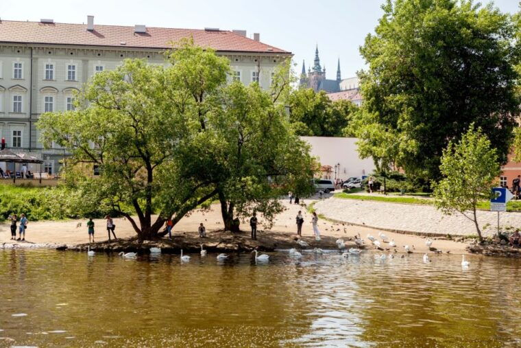 prague-cruise-1-hour-on-the-river-vltava