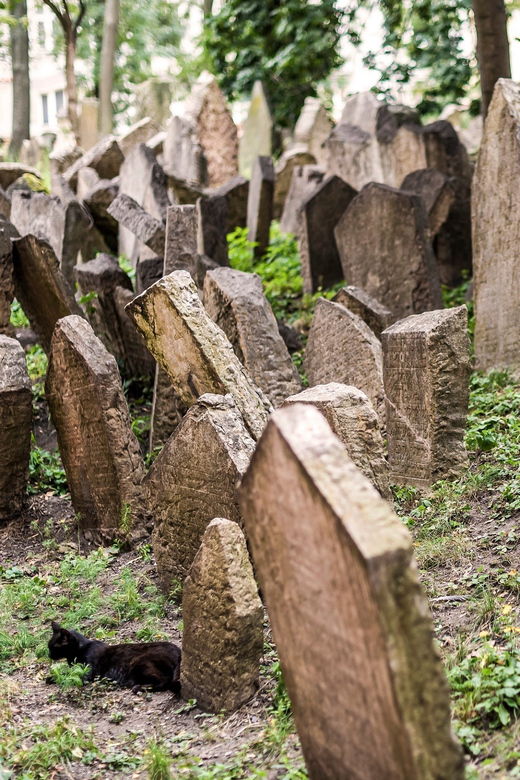 prague-jewish-quarter-walking-tour-with-admission-tickets-2