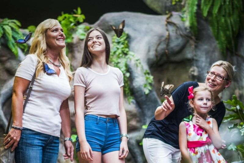 prague-papilonia-butterfly-house