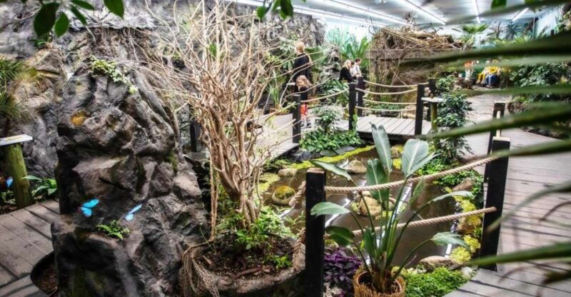 prague-papilonia-butterfly-house