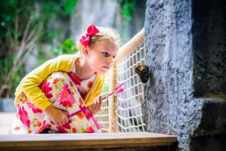 prague-papilonia-butterfly-house