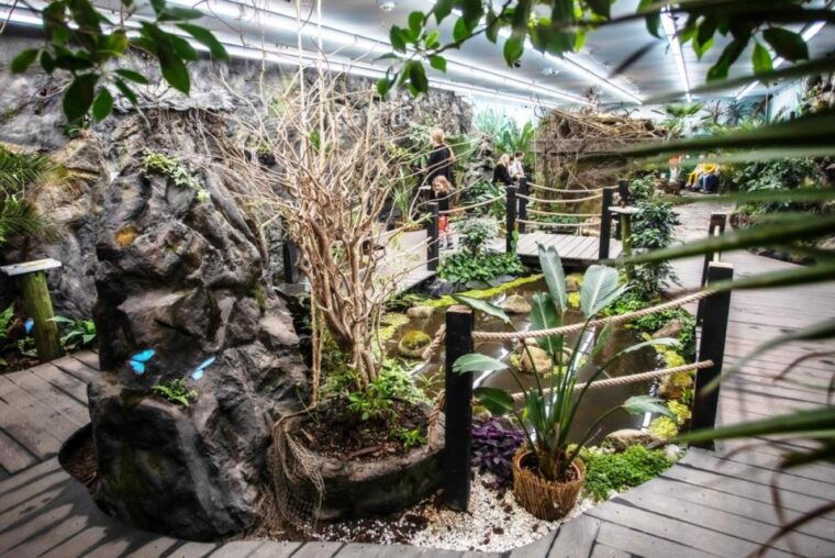 prague-papilonia-butterfly-house