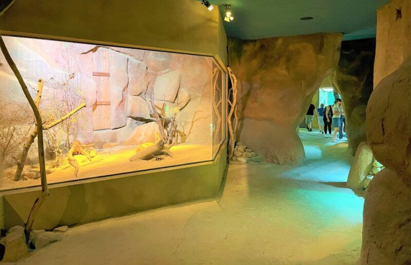 prague-prague-zoo-audio-guide-with-e-ticket