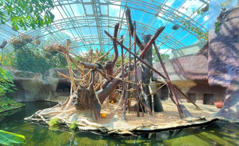 prague-prague-zoo-audio-guide-with-e-ticket