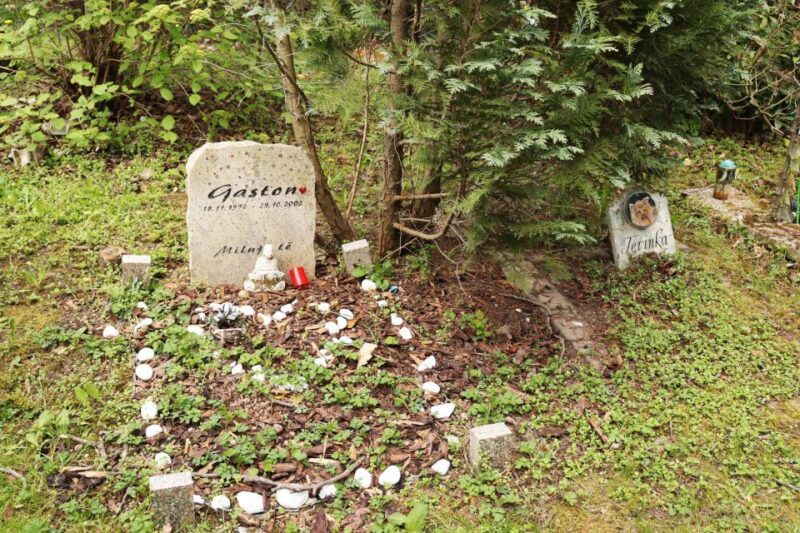 prague-psychiatric-hospital-and-abandoned-cemetery-tour