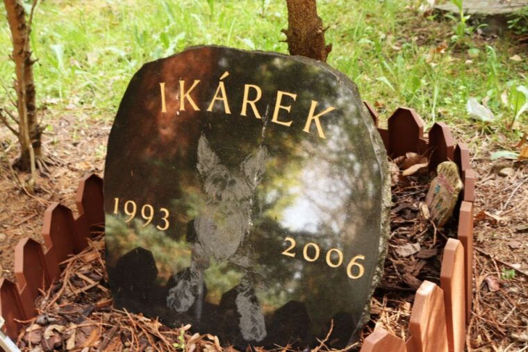 prague-psychiatric-hospital-and-abandoned-cemetery-tour