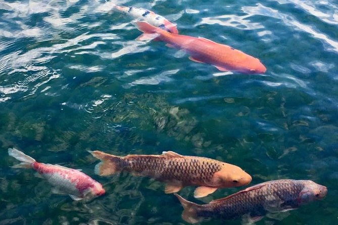 prague-renaissance-baroque-gardens-walking-tour