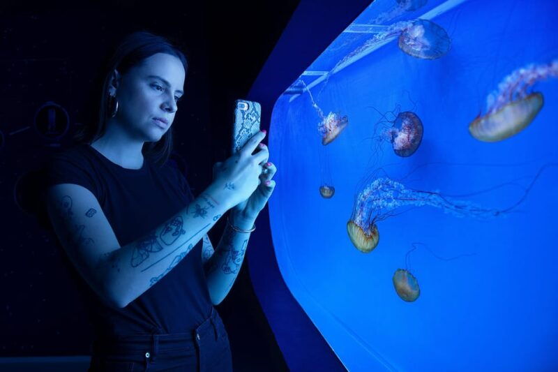prague-the-world-of-jellyfish-entry-ticket-w-drink