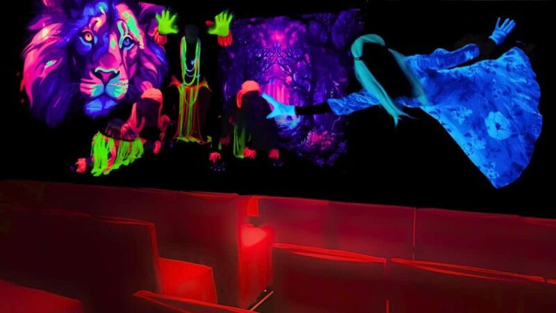 Prague: Underground Black Light Theatre Interactive Show - Accessibility and Additional Information