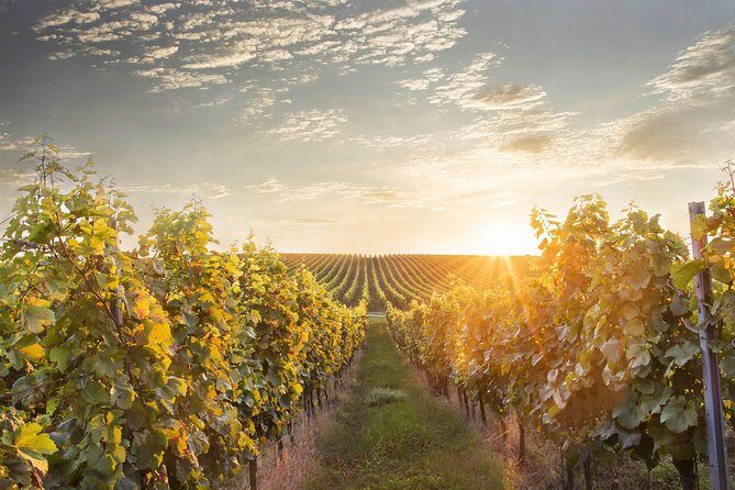 Prague-Vienna One-Way Sightseeing Day Tour - Key Points