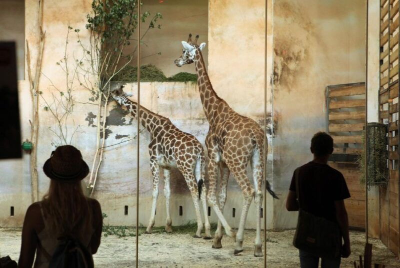 prague-zoo-skip-the-line-tickets-and-private-transfers