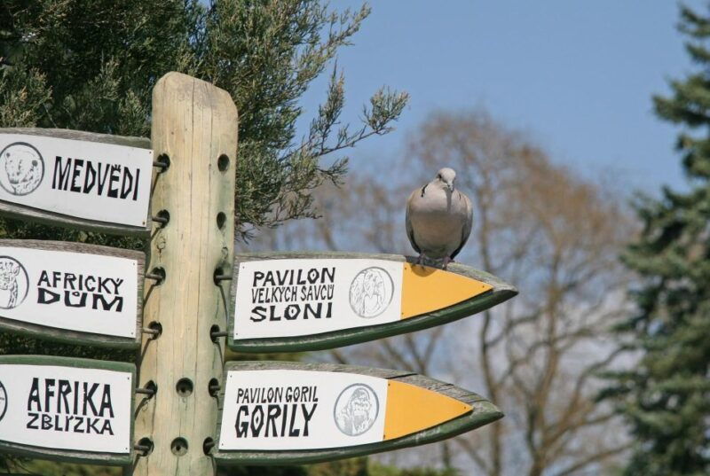 prague-zoo-skip-the-line-tickets-and-private-transfers