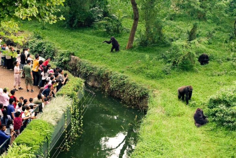 prague-zoo-skip-the-line-tickets-and-private-transfers