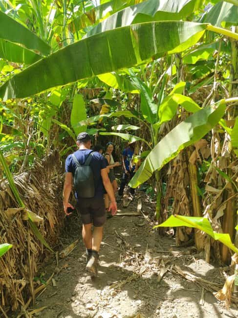Praia: Banana and Coconut Plantation Tour with Lunch - Exploring Santiago’s Agricultural Charm