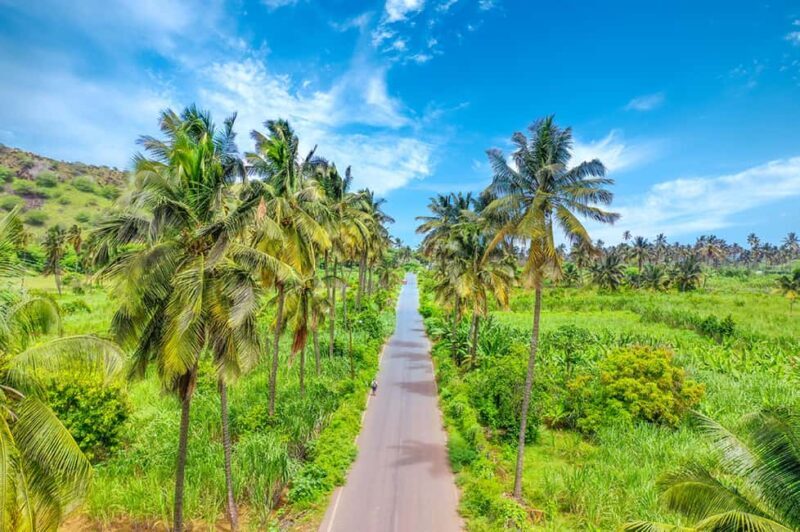Praia: Day trip by minibus for cruise passengers - Who Should Consider This Tour?