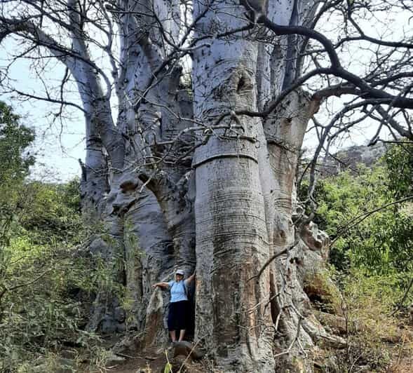 Praia: Guided Nature Hike to Cidade Velha - Key Points