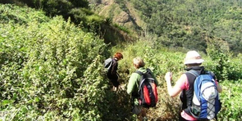 Praia: Private hike from Rui Vaz - Authentic Encounters and Tips for the Best Experience