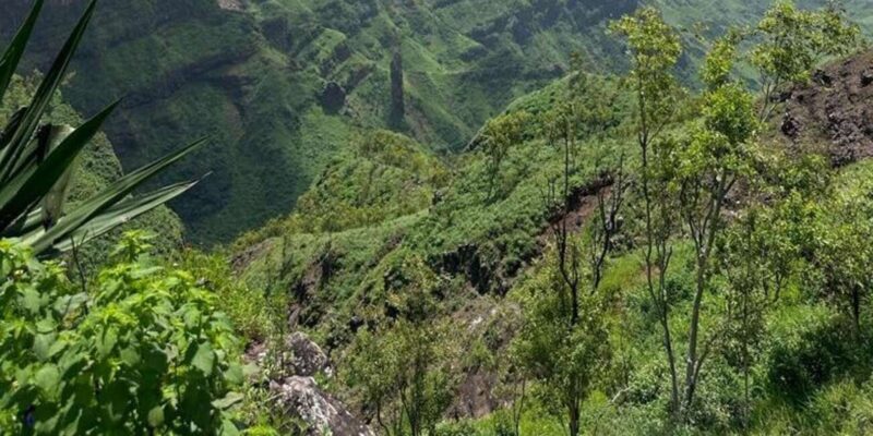 Praia: Private hike from Rui Vaz - Who Will Love This Tour?