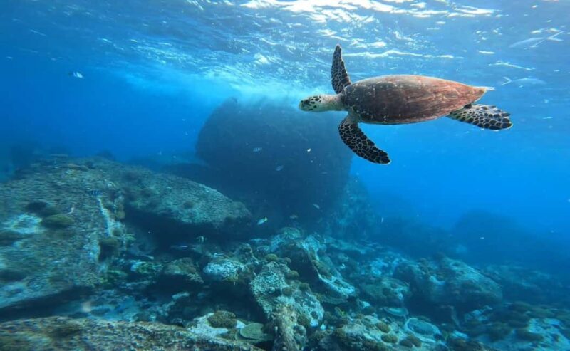 Praslin: Curieuse & St-Pierre Boat Adventure with Snorkeling - FAQ