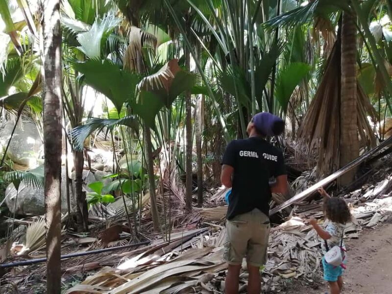 Praslin: private tour of the Vallée de Mai with a local guide - Who Will Love This Tour?