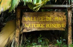 Praslin : Private tour - Anse Lazio and Zimbabwe Viewpoint
