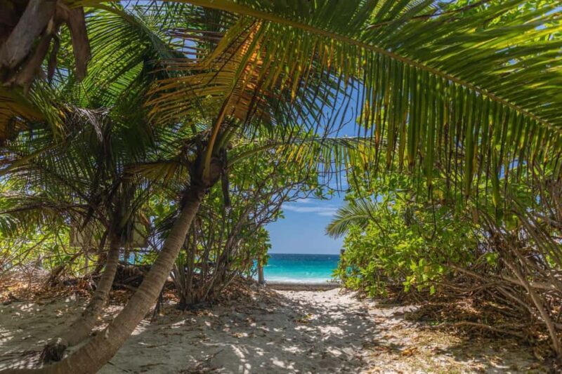 Praslin: Sister & Coco Island Full-Day Cruise and Creole BBQ - Key Points  