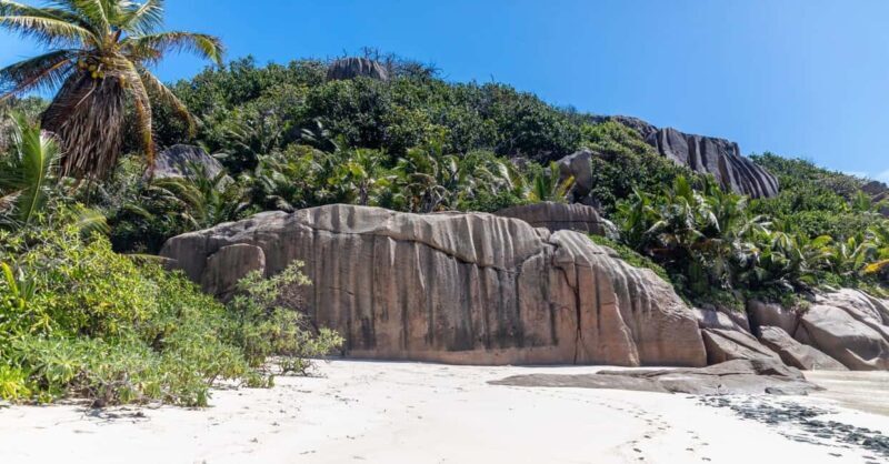 Praslin: Sister & Coco Island Full-Day Cruise and Creole BBQ - Setting Sail: What to Expect on the Cruise  