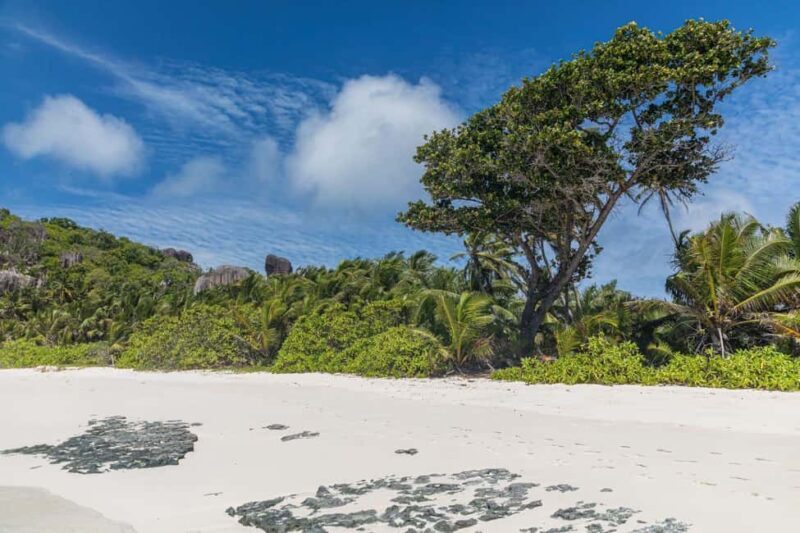 Praslin: Sister & Coco Island Full-Day Cruise and Creole BBQ - Who Will Love This Tour?  