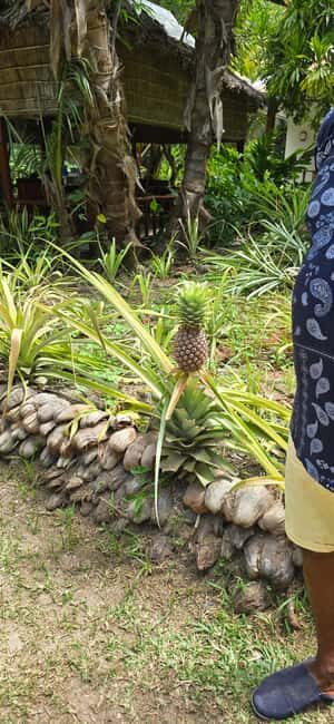 Praslin:DayTour ValleDeMai,CoteD'orMuseum & AnseLazio - Praslin Museum: An Insight into Local Culture