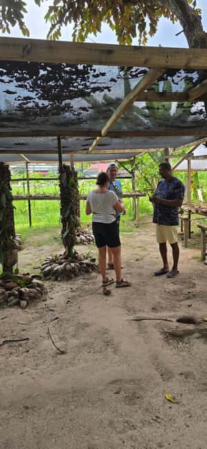 Praslin:DayTour ValleDeMai,CoteD'orMuseum & AnseLazio - The Value of This Tour