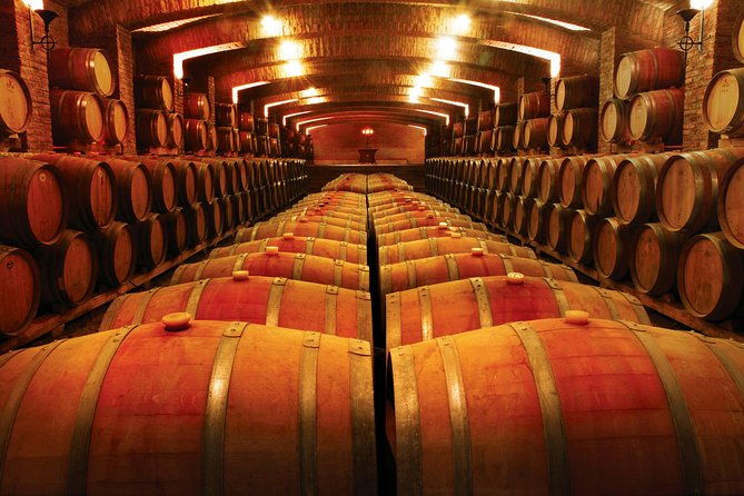 pre-or-post-valparaiso-cruise-with-santiago-city-tour-and-optional-vineyard-2