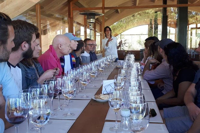 pre-or-post-valparaiso-cruise-with-santiago-city-tour-and-optional-vineyard