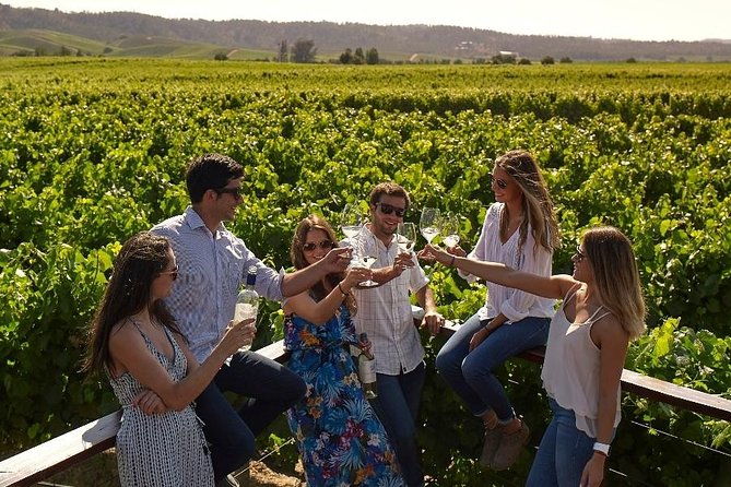 pre-or-post-valparaiso-cruise-with-santiago-city-tour-and-optional-vineyard