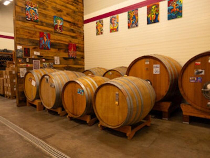 predappio-wine-experience-wine-tasting-and-vineyard-tour