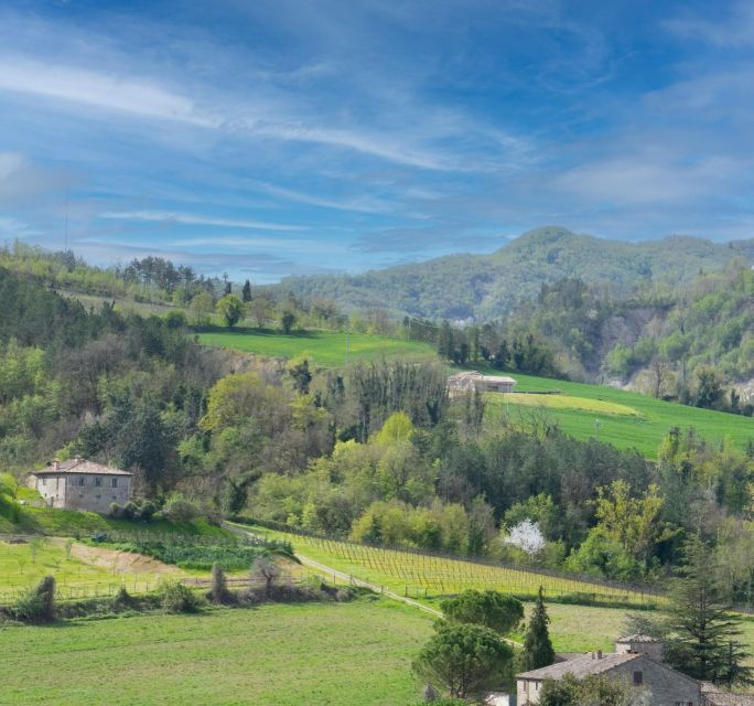 predappio-wine-experience-wine-tasting-and-vineyard-tour