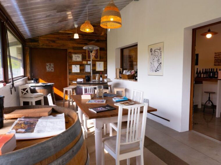 predappio-wine-experience-wine-tasting-and-vineyard-tour