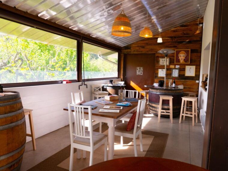 predappio-wine-experience-wine-tasting-and-vineyard-tour