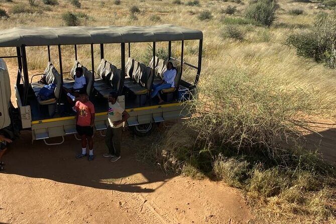 Predator Encounter: Half-Day Carnivore Feeding Windhoek - The Sum Up: Who Should Consider This Tour?